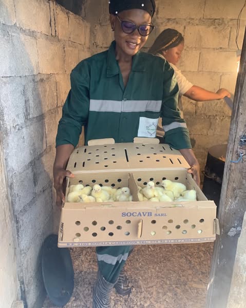 Nouvelle vague de poussins aux CEFPREPAS !