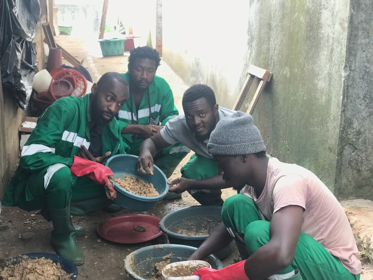 Accelerated Training