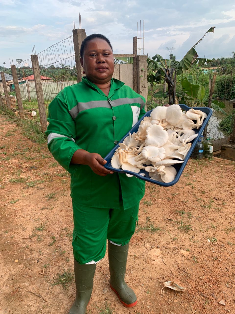 Custom Continuing Training