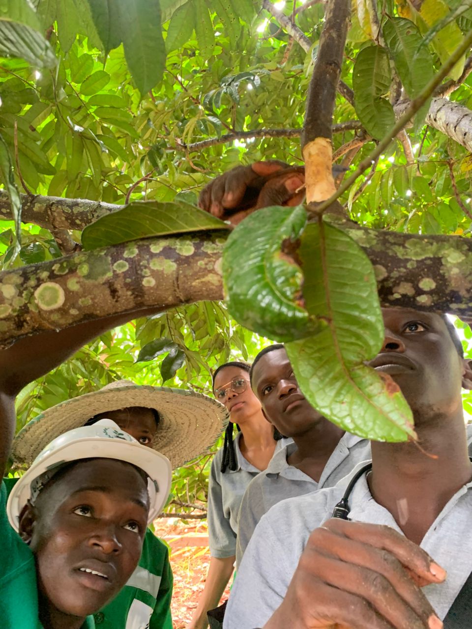 Special Custom Training