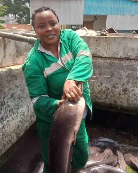 Pisciculture