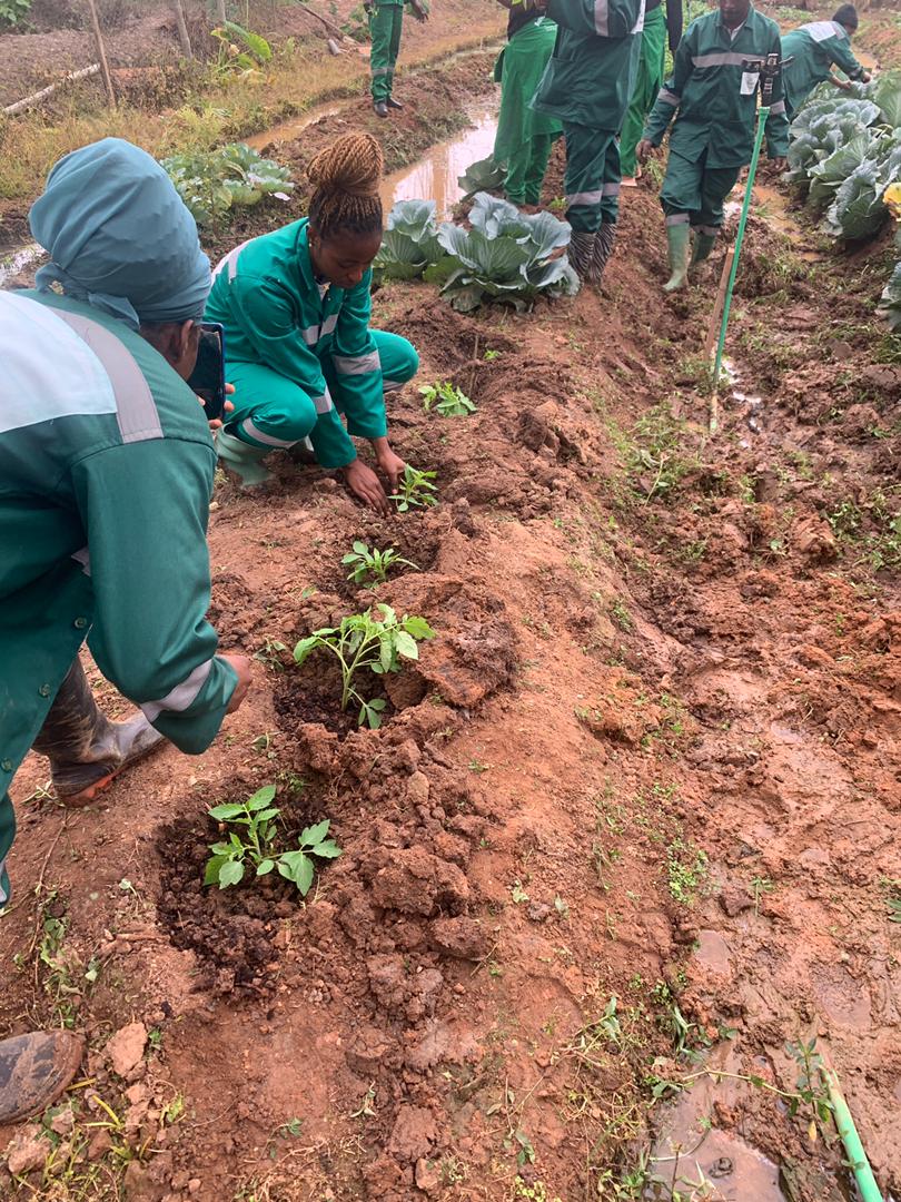 🌱 Where Future Farmers Grow: Hands-On Learning at CEFPREPAS 🌱 Where Future Farmers Grow: Hands-On Learning at CEFPREPAS