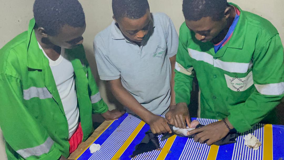 Artificial reproduction of African catfish