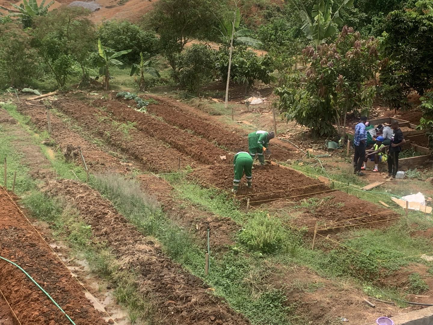 Agriculture Agriculture