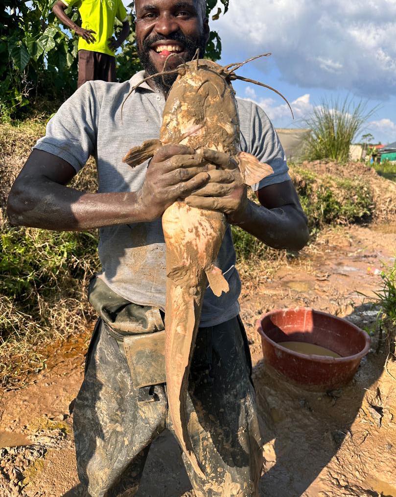 Fish Farming