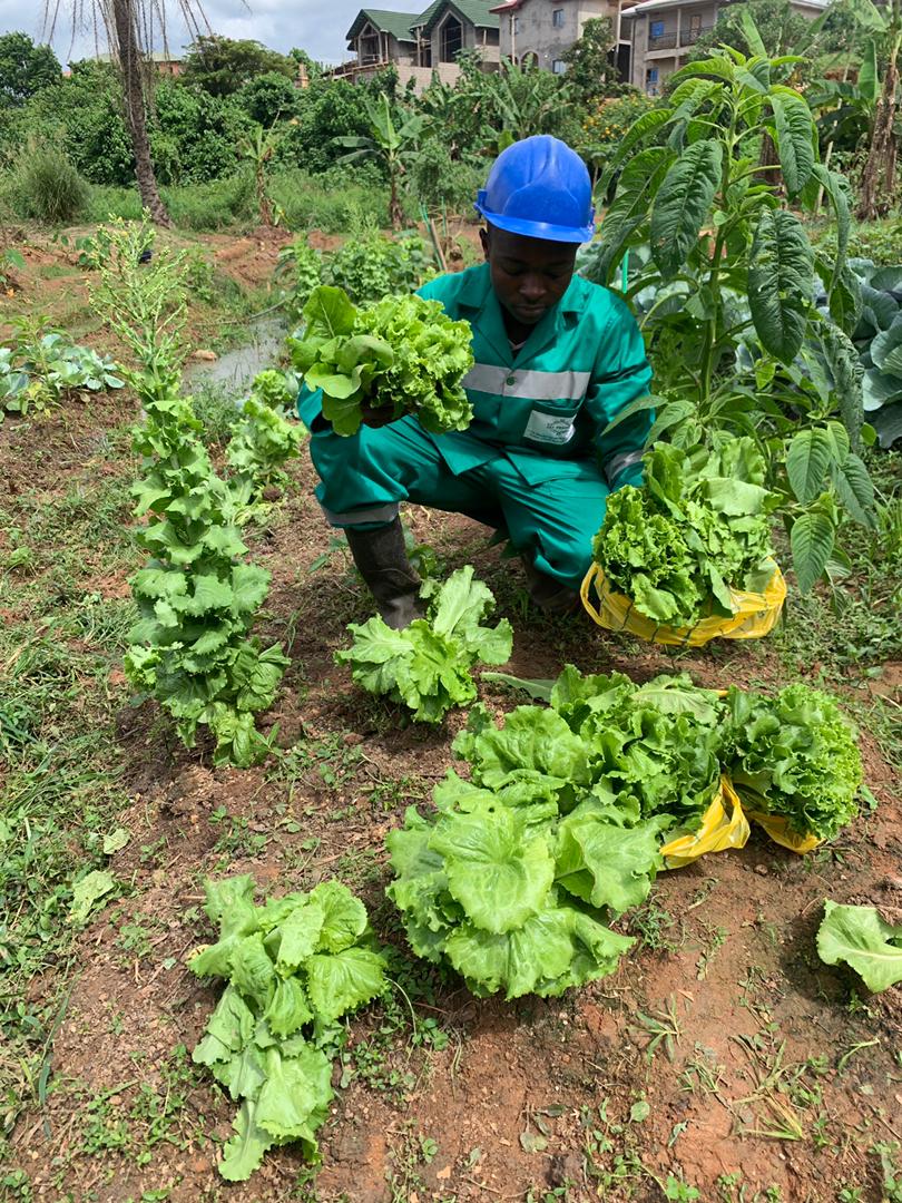 AGRICULTURE